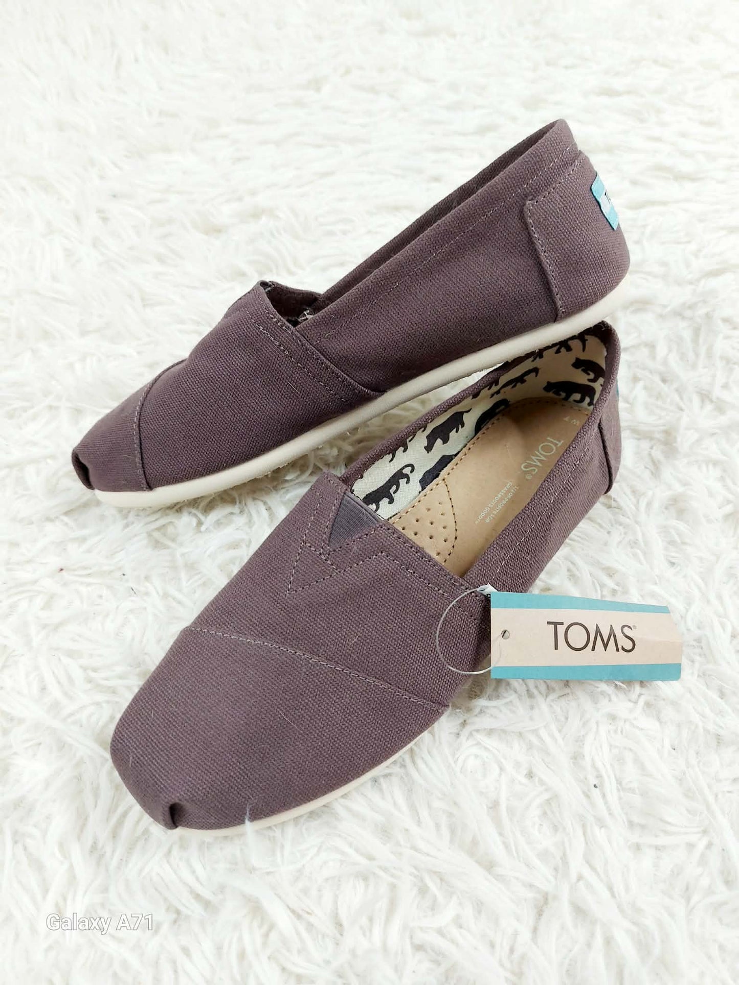 New size 7 Toms